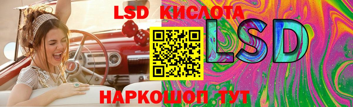 Галлюциногенные грибы Видное