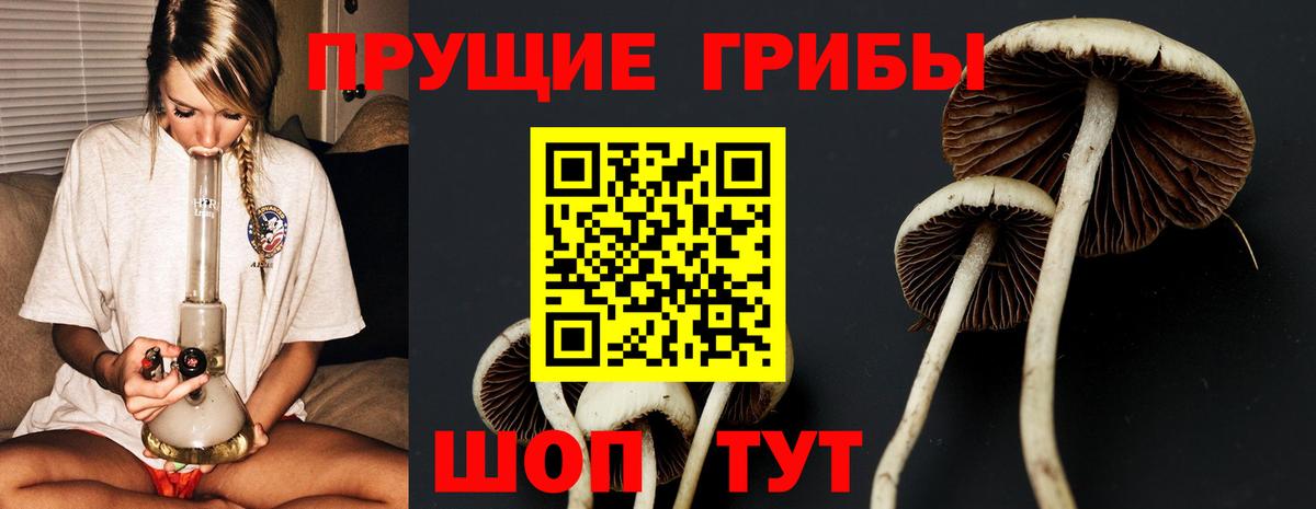 Галлюциногенные грибы Cubensis  закладка  Видное  Вход с VPN 